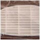 HEPA (High Efficiency Particulate Arresting) Filter