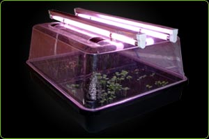 Propagator System 1